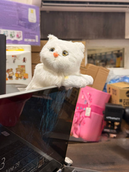 Simulation Hanging Cat