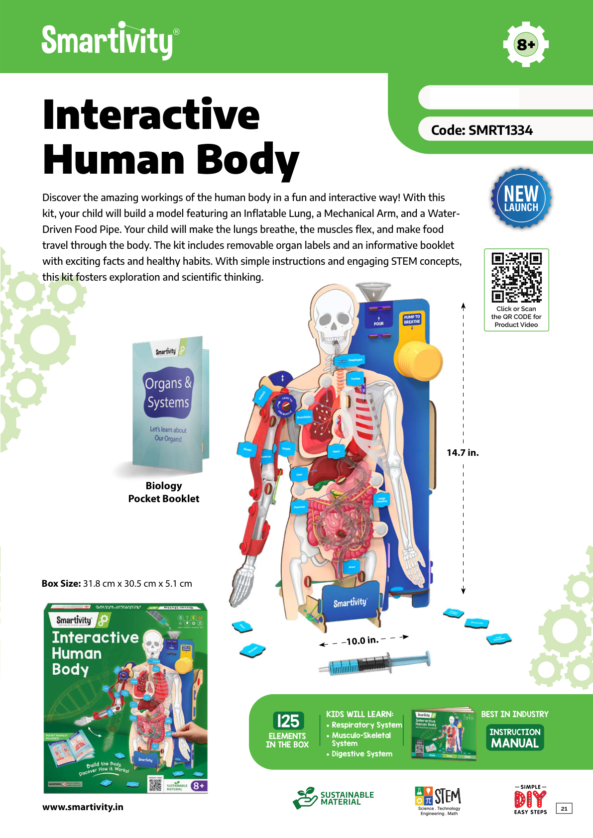 SMRT1334 Interactive Human Body