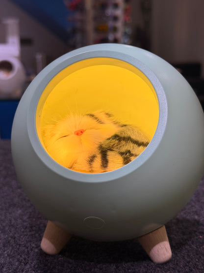 Cute Cat Lamp