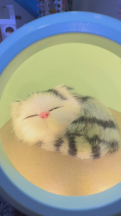 Cute Cat Lamp